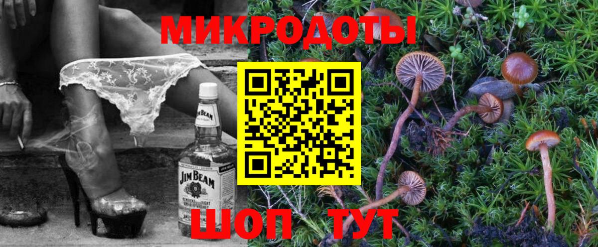 Малоярославец  Псилоцибиновые грибы Psilocybine cubensis  Вход с VPN 