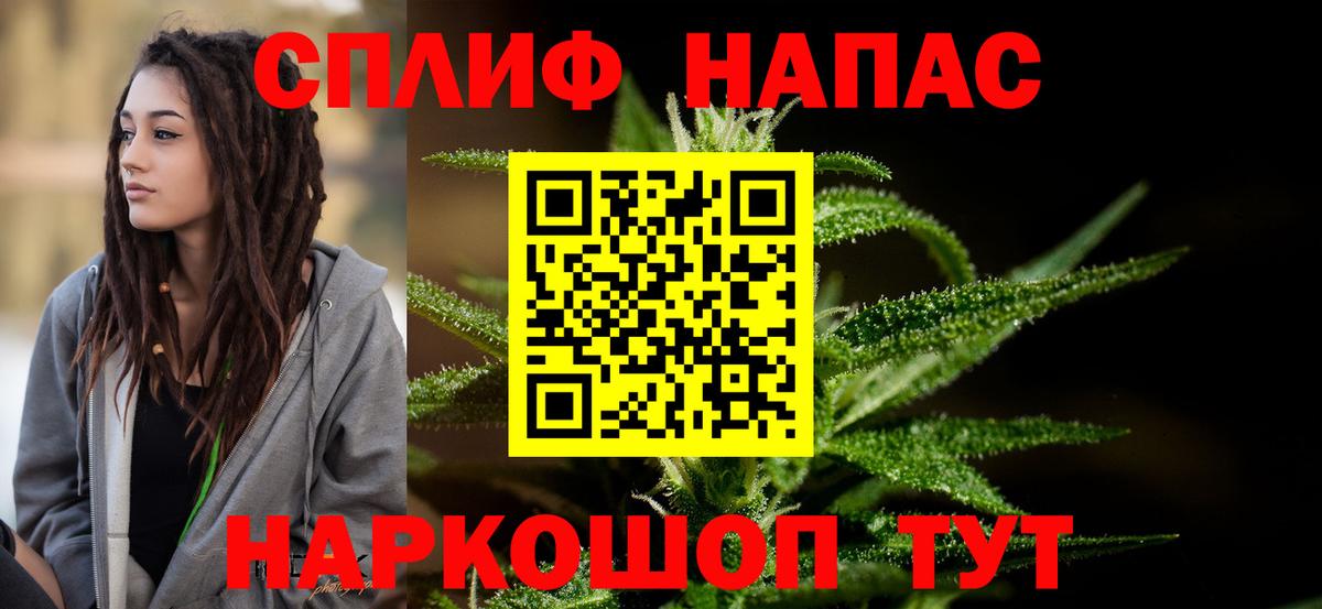 Каннабис планчик Малоярославец